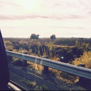 Meet your Posher, Morgan